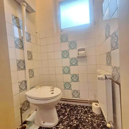 Pr Pogorev *